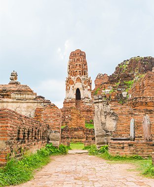 alula