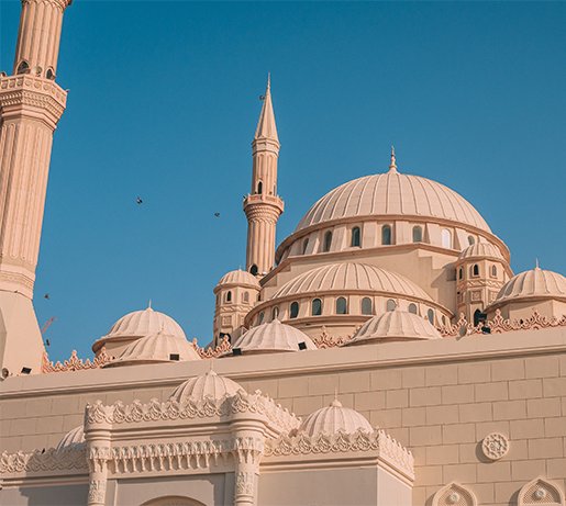 alula